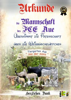 17 10 06 VIP FCE Mannschaft Weissbueschelaeffchen