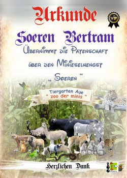 18-05-26-Sören-Bertram-Urkundekl