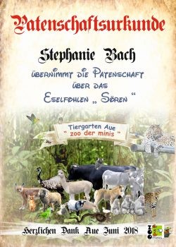 18-06-12-Stephanie-Bach-über-Jens-Köhler-Eselhengstkl