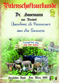 Gold 01 Dr Havemann Salzkatze