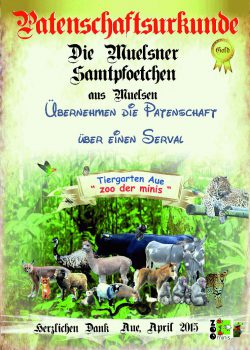 Gold 10 Mülsener Samtpfötchen Serval