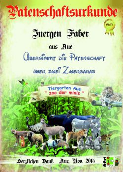 Gold 13 Jürgen Faber Zwergara