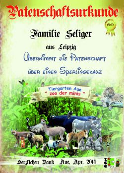 Gold 16 Familie Seliger Sperlingskauz