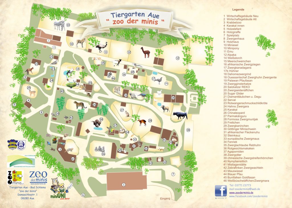 Auf einen Blick Zoo der Minis Tiergarten Aue Tierische Zwerge