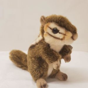 Niedliches Streifenhörnchen