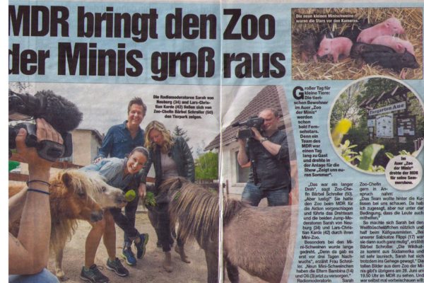 17 05 17 Chemnitzer Morgenpost MDR bringt den Zoo der Minis groß raus