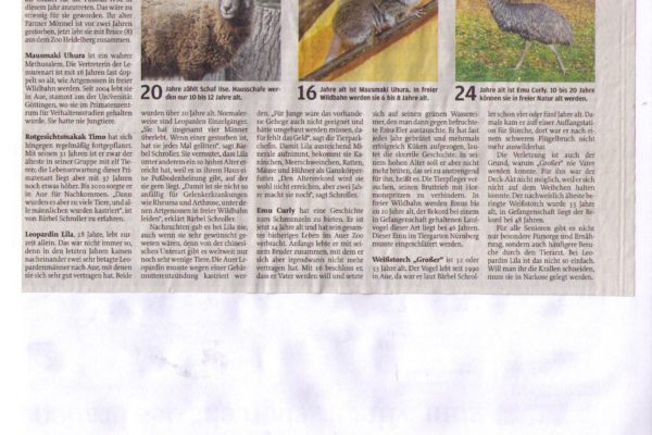18 11 15 Freie Presse Das sind die tierischen Oldies von Aue 02