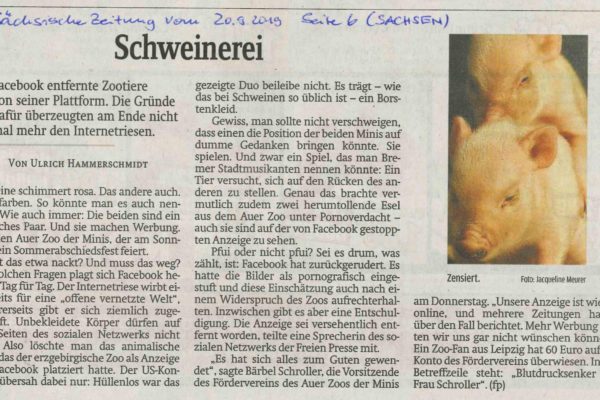 19 09 20 Sächsische Zeitung Schweinerei Presse