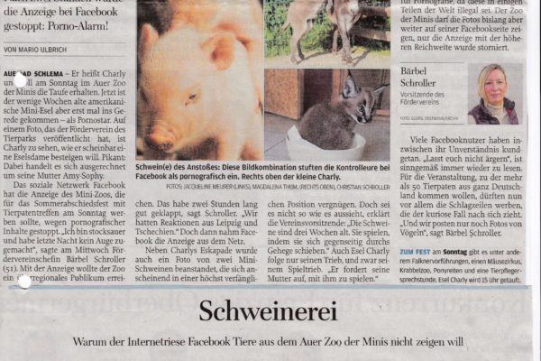 20.09.19 Freie Presse Tierischer Ärger im Auer Zoo ,SOwild treiben ss die Minis