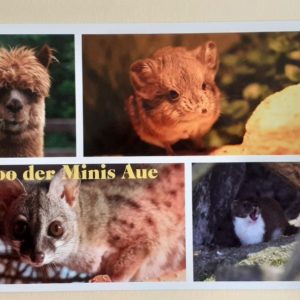 ZooMinis Aue - Karte Nr.I