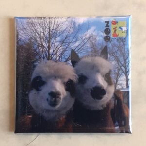 Magnet Alpaka - Mit Bild aus unserem Zoo