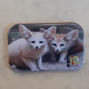 Magnet Fennek - Mit Bild aus unserem Zoo